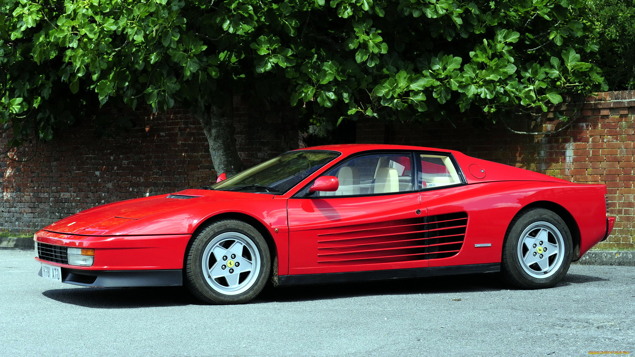 ferrari, 512, testarossa, , , , s, p, a, 